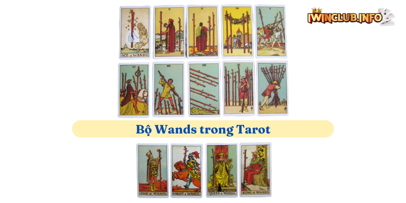 Bộ Wands trong Tarot